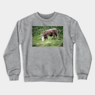 Irish Cattle Crewneck Sweatshirt